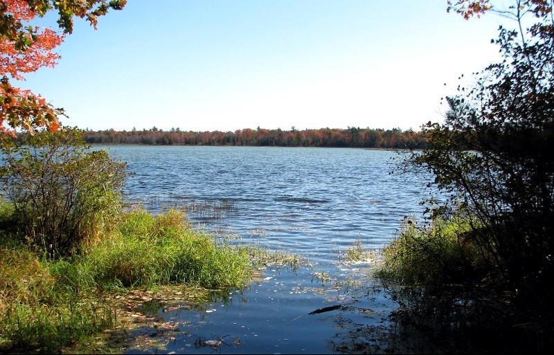 Beachfront Hotel Houghton Lake Natur billede