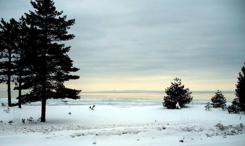 Beachfront Hotel Houghton Lake Natur billede